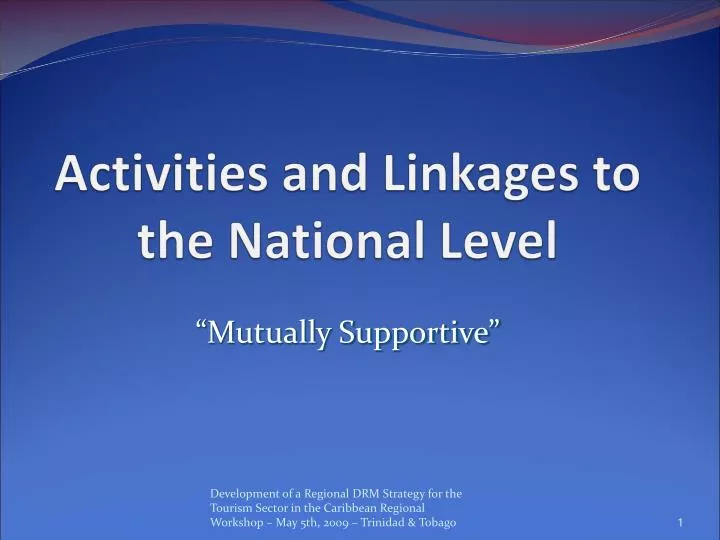 activities and linkages to the national level