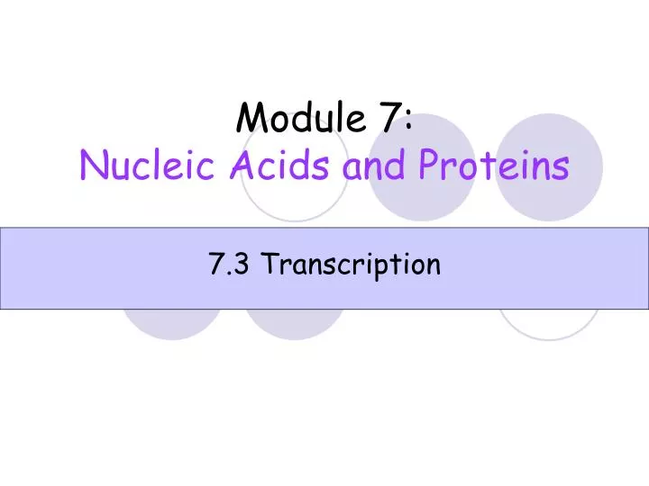 module 7 nucleic acids and proteins