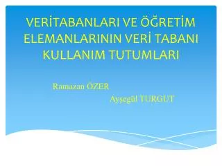 ver tabanlari ve ret m elemanlarinin ver tabani kullanim tutumlari