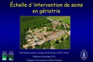 chelle d intervention de soins en g riatrie
