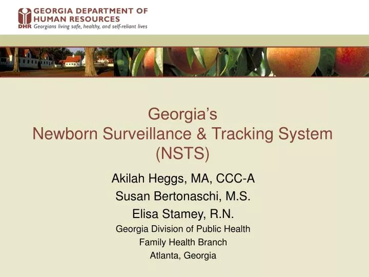 georgia s newborn surveillance tracking system nsts
