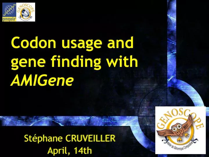 codon usage and gene finding with amigene