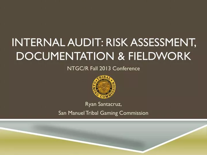 internal audit risk assessment documentation fieldwork