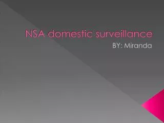 NSA domestic surveillance