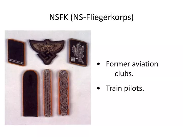 nsfk ns fliegerkorps