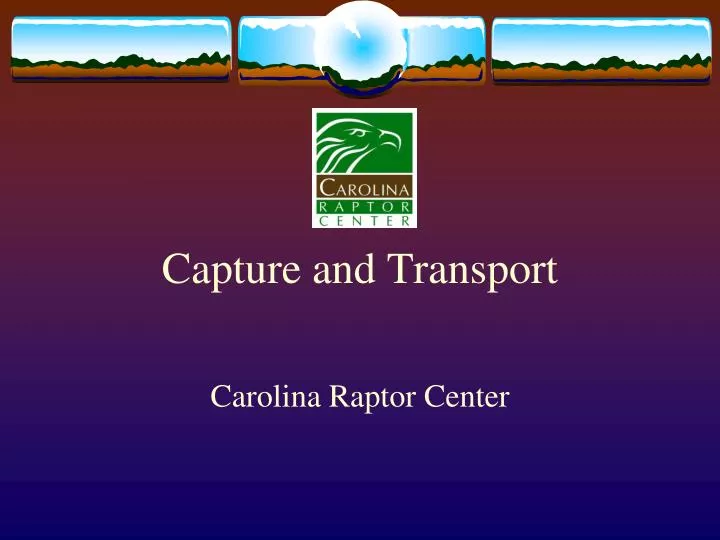 capture and transport