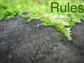 Stupid Rules