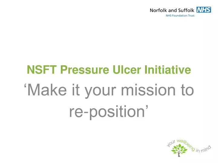 nsft pressure ulcer initiative