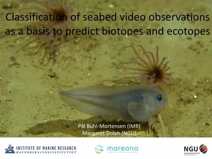 classification of seabed video observations as a basis to predict biotopes and ecotopes