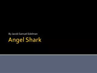 Angel Shark