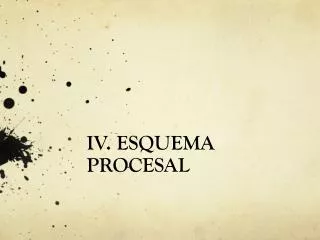 iv esquema procesal