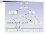 The Immune System - slide 1