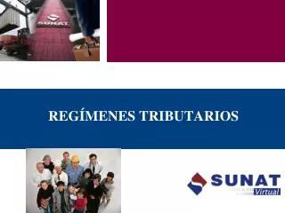 reg menes tributarios