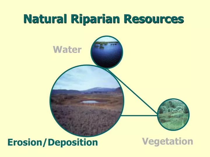 natural riparian resources