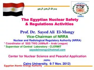 Prof. Dr. Sayed Ali El-Mongy Vice-Chairman of NRRA
