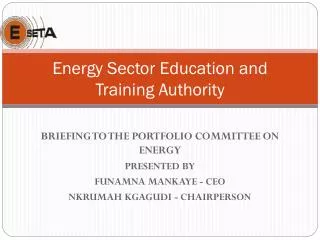 Energy Sector Education and Training Authority