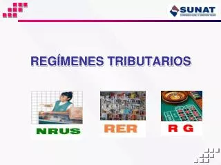reg menes tributarios