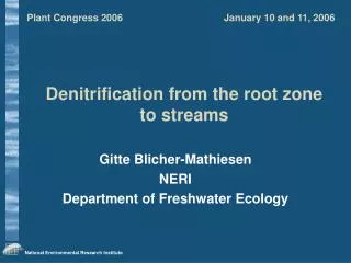 Denitrification from the root zone to streams