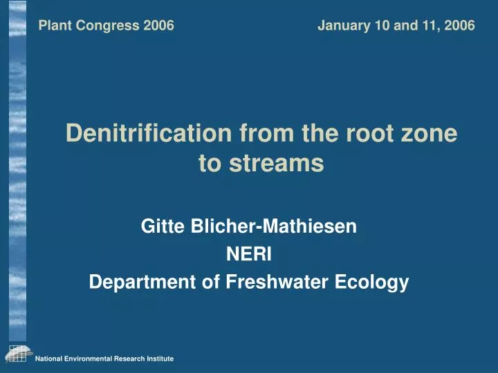 denitrification from the root zone to streams