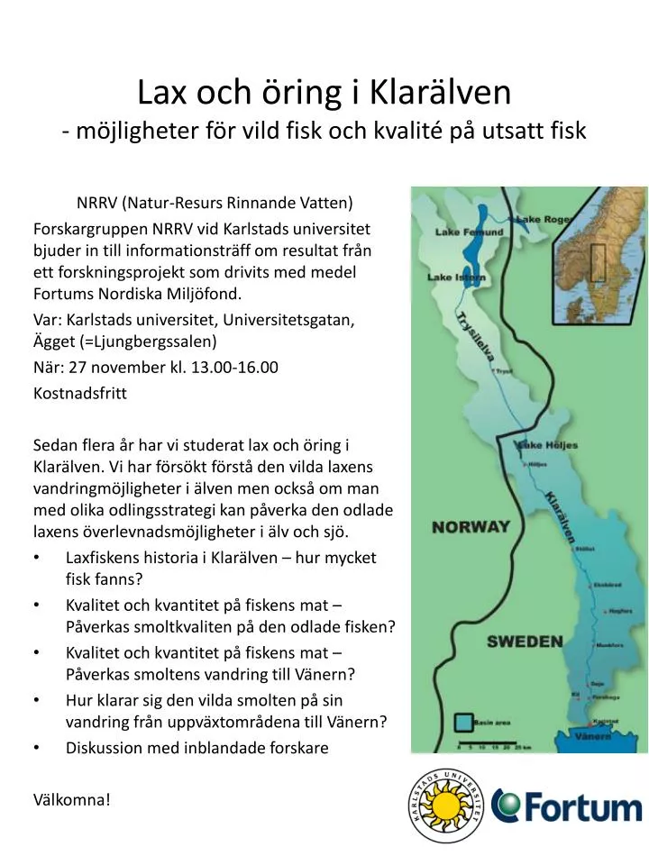 lax och ring i klar lven m jligheter f r vild fisk och kvalit p utsatt fisk