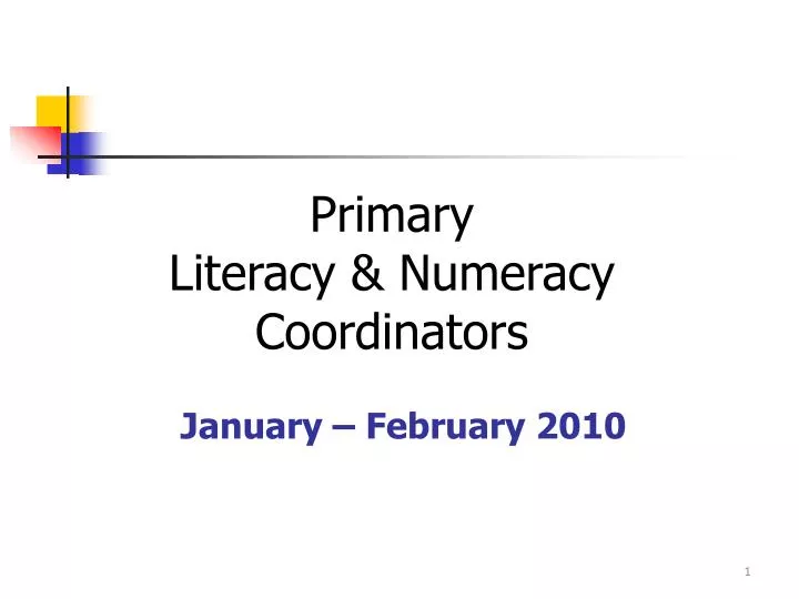primary literacy numeracy coordinators