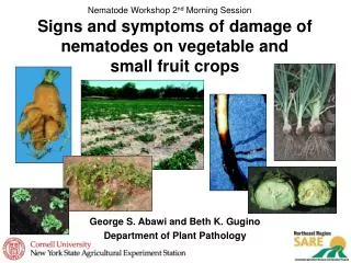 signs and symptoms of damage of nematodes on vegetable and small fruit crops