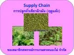 Supply Chain การปลูกถั่วเขียวผิวมัน (ฤดูแล้ง) ของสมาชิกสหกรณ์การเกษตรหนองไผ่ จำกัด - slide 1