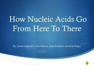 How Nucleic Acids Go From Here To There