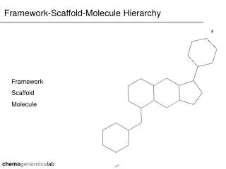Framework-Scaffold-Molecule Hierarchy