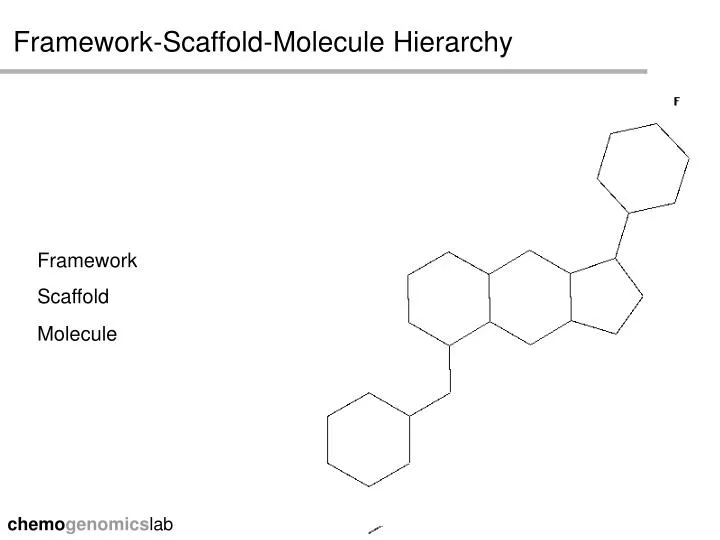 framework scaffold molecule hierarchy