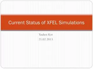 Current Status of XFEL Simulations