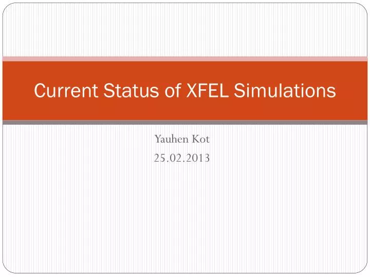 current status of xfel simulations