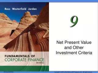 net present value and other investment criteria