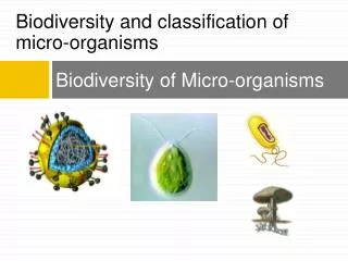 Biodiversity of Micro-organisms