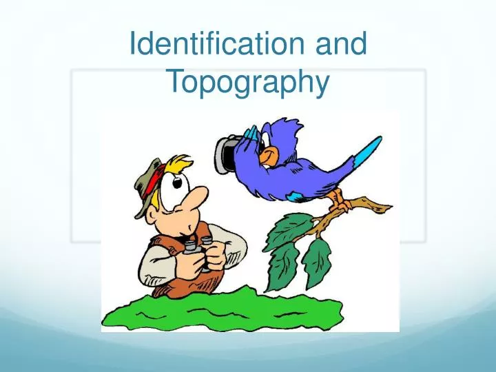 identification and topography