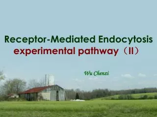Receptor-Mediated Endocytosis experimental pathway ? II ?