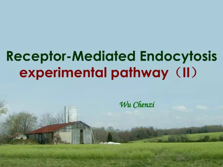 receptor mediated endocytosis experimental pathway ii