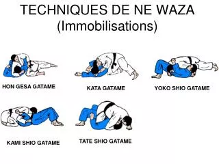 techniques de ne waza immobilisations