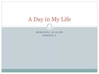 a day in m y life
