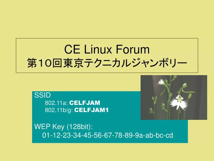 ce linux forum