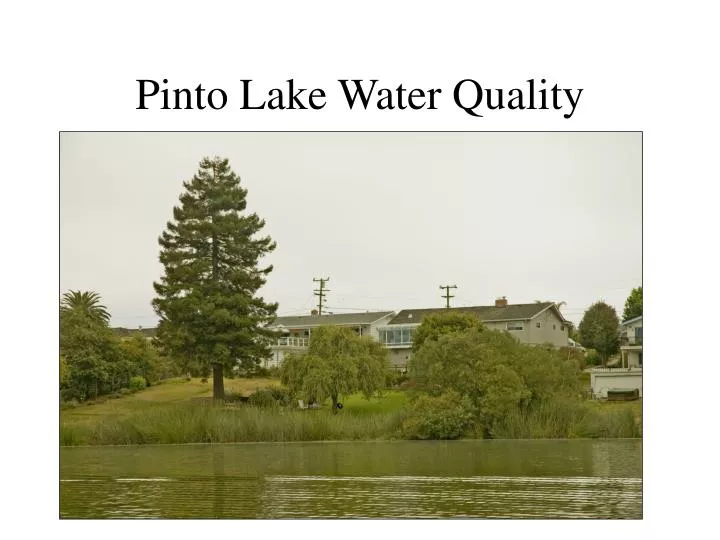 pinto lake water quality
