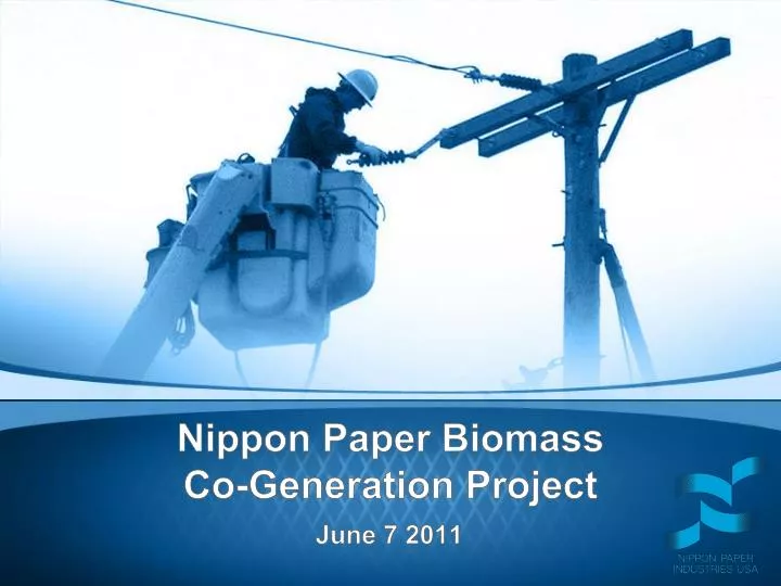 nippon paper biomass co generation project