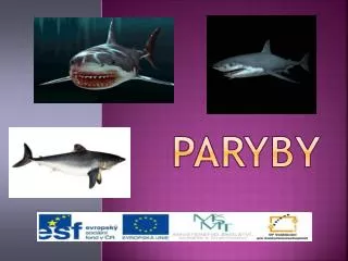 paryby