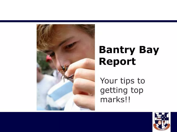 bantry bay report