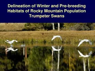 Delineation of Winter and Pre-breeding Habitats of Rocky Mountain Population Trumpeter Swans