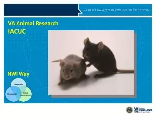 VA Animal Research IACUC