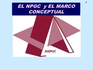 el npgc y el marco conceptual