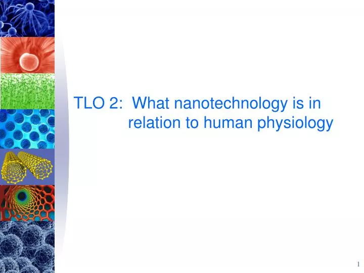 tlo 2 what nanotechnology is in relation to human physiology