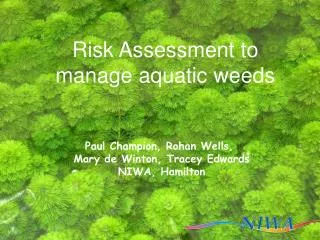 Risk Assessment to manage aquatic weeds