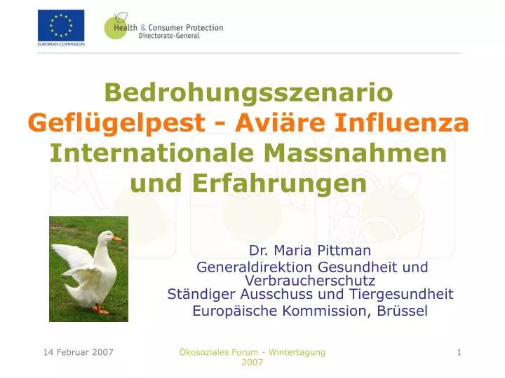 bedrohungsszenario gefl gelpest avi re influenza internationale massnahmen und erfahrungen